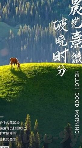 10号球员世界杯-10号球员世界杯,传奇号码下的荣耀与梦想